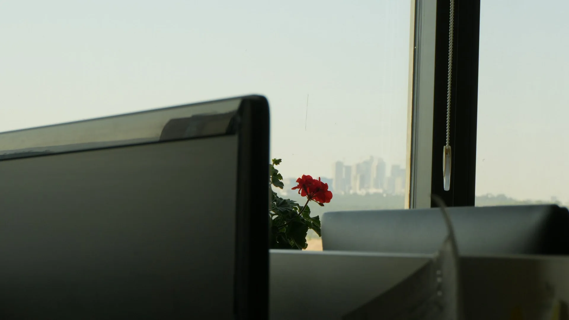 Écran informatique sur un bureau près d’une fenêtre